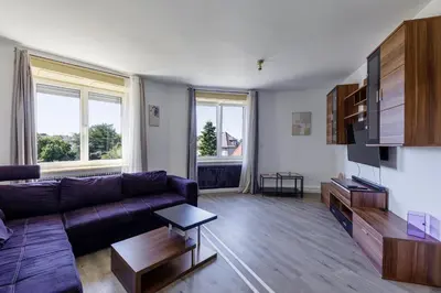Télévision ou salle de divertissement dans l'établissement Appartement Tonga - Dans Mulhouse pour 6p