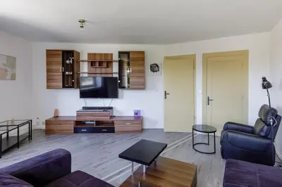 Télévision ou salle de divertissement dans l'établissement Appartement Tonga - Dans Mulhouse pour 6p