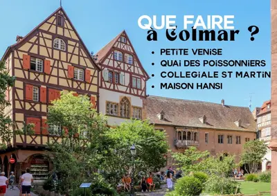Plan de l'établissement L'authentique bleuet d'Alsace