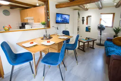 Télévision ou salle de divertissement dans l'établissement L'authentique bleuet d'Alsace