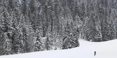 L'établissement Le souffle des sapins en hiver