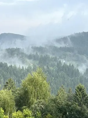 Paysage naturel près de la maison de vacances