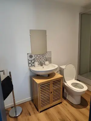 Salle de bains dans l'établissement Charmant Studio à Rixheim