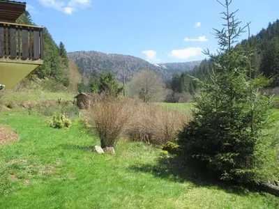 Paysage naturel près de le chalet