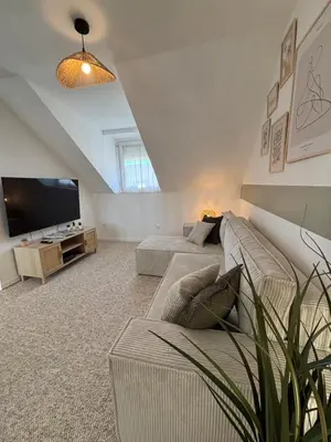 Télévision ou salle de divertissement dans l'établissement Le Col'Vert - Appartement 50m2 - Colmar Centre