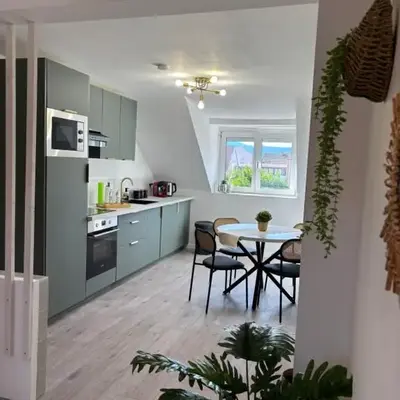 Le Col'Vert - Appartement 50m2 - Colmar Centre