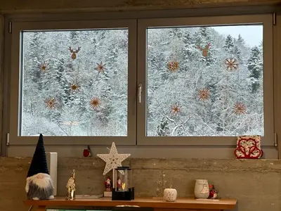L'établissement Vivez l'Alsace! Piscine, Montagne&Noël Magique en hiver