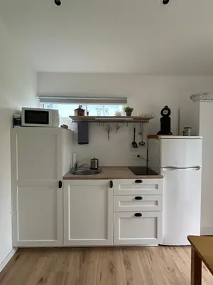 Cuisine ou kitchenette dans l'établissement Au cœur de l Alsace - studio
