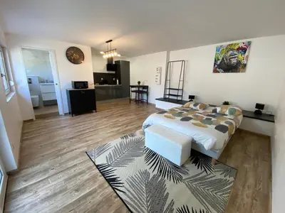 Cuisine ou kitchenette dans l'établissement Studio climatisé 30 m2 à 2 min de Colmar