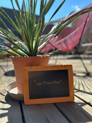 Plan de l'établissement Les Mirabelles