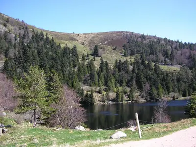 Paysage naturel près de le chalet