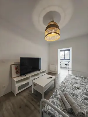 Télévision ou salle de divertissement dans l'établissement Le 15 - Beau T3 lumineux et confortable- stationnement gratuit - Mulhouse Riedisheim