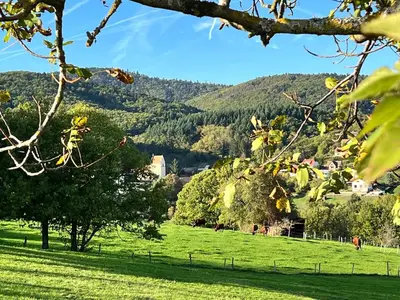 Paysage naturel près de la maison de vacances