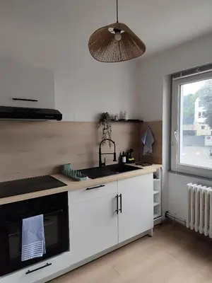 Cuisine ou kitchenette dans l'établissement Chaleureux T2 Centre Ville
