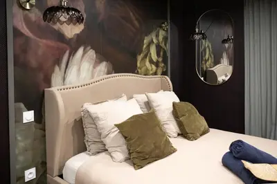 Plan de l'établissement Deluxe Studio, Dark Floral, jacuzzi, Parking Gratuit, MULHOUSE CENTRE