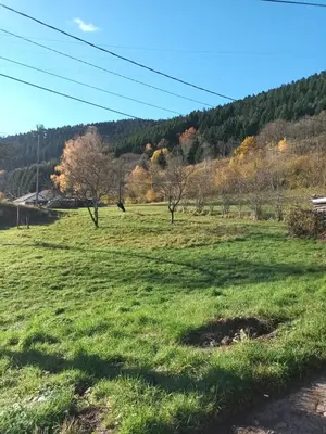 Paysage naturel près de l'appartement