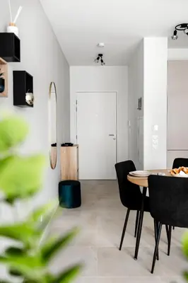 Plan de l'établissement A21 Rhine view condo by the 3-countries-bridge