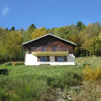 Gîte Confortable au Cœur des Vosges - Animaux Acceptés - FR-1-589-839