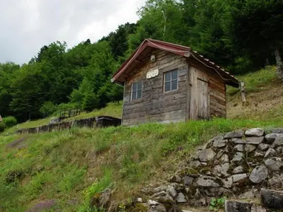Paysage naturel près de la maison de vacances