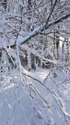 L'établissement Gîte 4 à 10 Personnes avec sauna