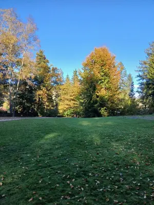 Jardin de l'établissement La Demoiselle des Roches