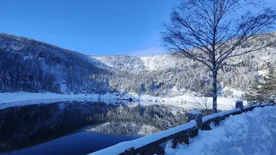 Paysage naturel près de l'appartement