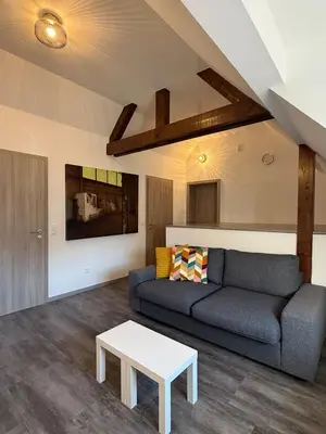 Coin salon dans l'établissement Maison Bleue, Appartements Thann centre, proche vignoble, terrasse avec vue