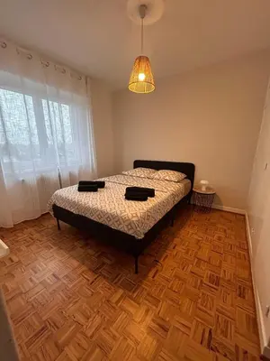 Plan de l'établissement Magnifique, appartement spacieux, deux chambres , deux terrasse, un grand salon, salle à manger, pas loin de la gare de Muhlouse