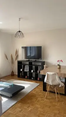 Plan de l'établissement Magnifique, appartement spacieux, deux chambres , deux terrasse, un grand salon, salle à manger, pas loin de la gare de Muhlouse