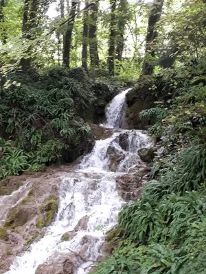 Paysage naturel près de l'appartement