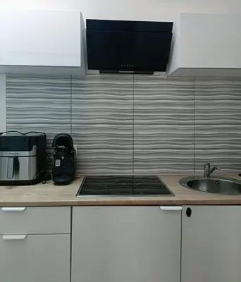 Cuisine ou kitchenette dans l'établissement Germanica 68500