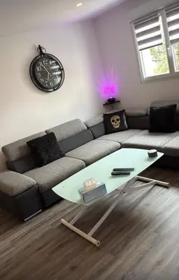 Plan de l'établissement Elegant duplex au 3 frontières