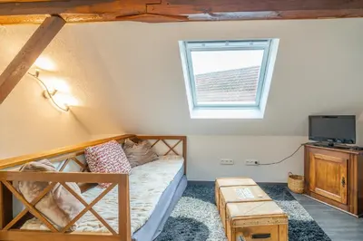 Télévision ou salle de divertissement dans l'établissement Typical Alsace house - ideal for groups and families