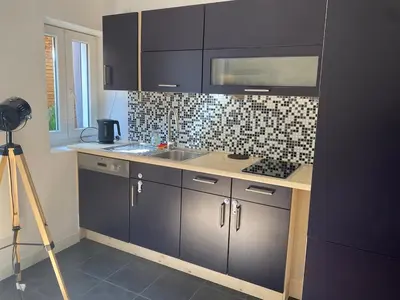 Cuisine ou kitchenette dans l'établissement Cosy Studio & Parking close to Basel Swiss border
