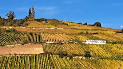 Paysage naturel près de l'appartement