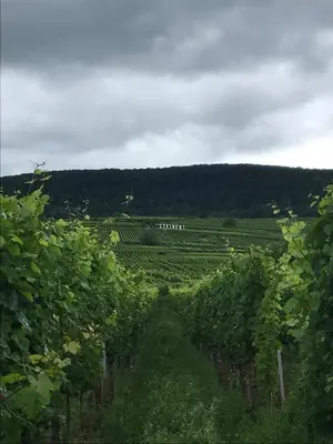 Paysage naturel près de l'appartement