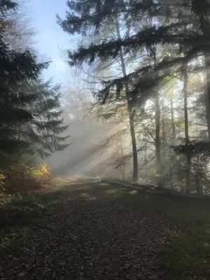 Paysage naturel près de l'appartement