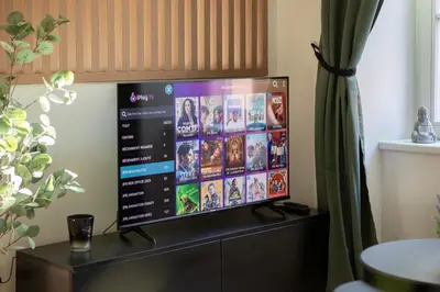 Télévision ou salle de divertissement dans l'établissement Le Green Escape