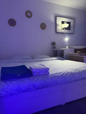 Un ou plusieurs lits dans un hébergement de l'établissement Studio Design à Mulhouse