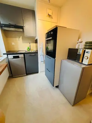 Cuisine ou kitchenette dans l'établissement Appartement Mulhouse Centre historique