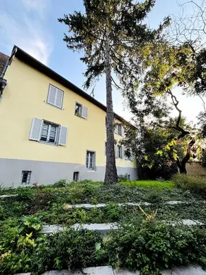 Jardin de l'établissement Appartement Mulhouse Centre historique