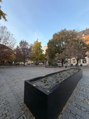 Plan de l'établissement Studio dans le cœur de Mulhouse