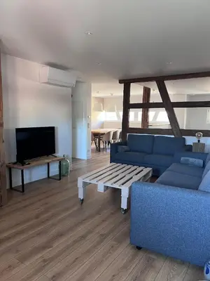 Télévision ou salle de divertissement dans l'établissement Spacious village house