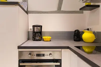 Cuisine ou kitchenette dans l'établissement Grand studio Colmar Centre