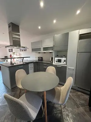 Cuisine ou kitchenette dans l'établissement Colmar joli petit appartement