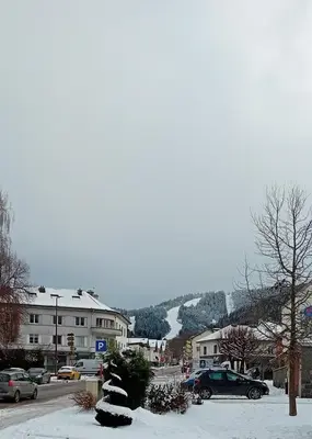 L'établissement Gérardmer Centre, Calme, 95m Spacieux en hiver