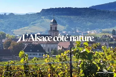 Vue générale sur la montagne ou vue sur la montagne depuis l'appartement