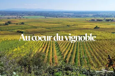 Paysage naturel près de l'appartement