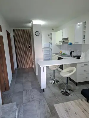 Cuisine ou kitchenette dans l'établissement Appart Dilda