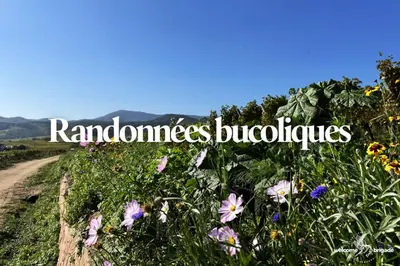 Paysage naturel près de l'appartement